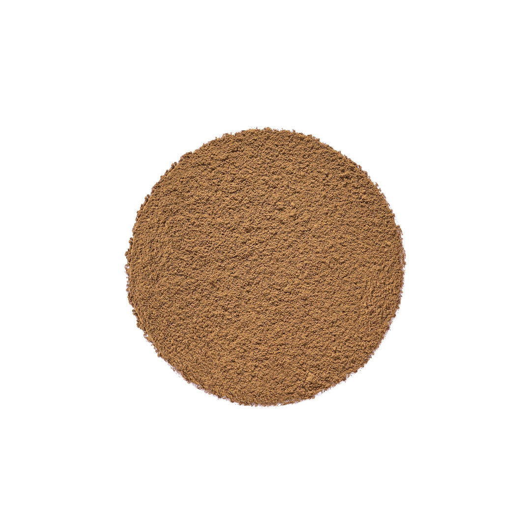 Hojicha Bio en Sticks