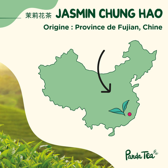 Jasmin Chung Hao Bio