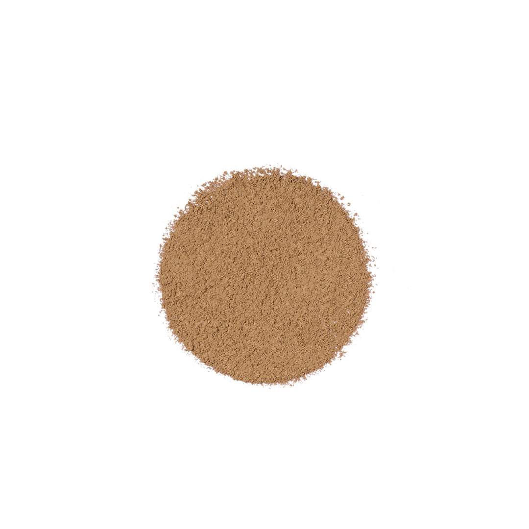 Chai Latte Bio en Sticks