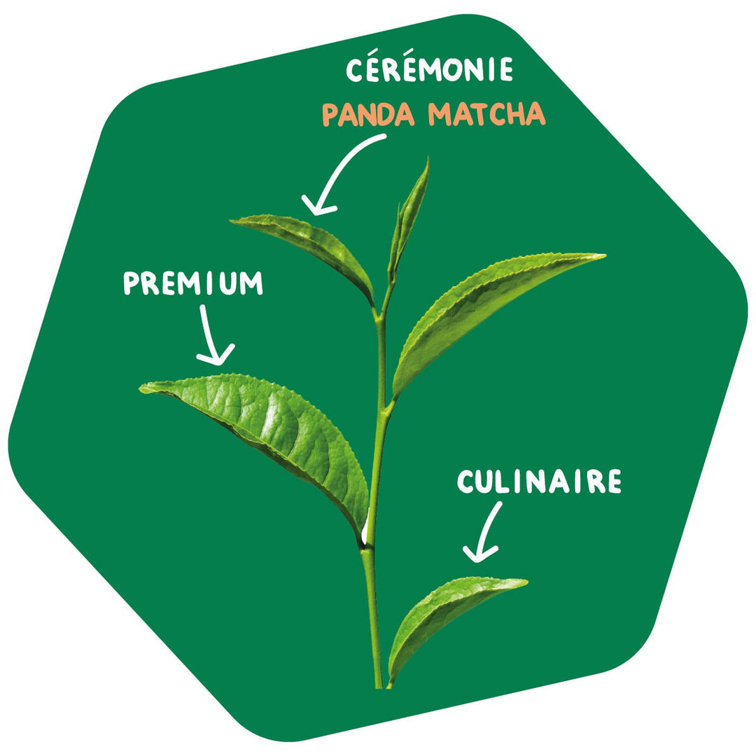 Coffret Matcha Culinaire et son Fouet